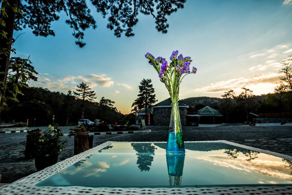 Troodos Hotel & Spa Ngoại thất bức ảnh